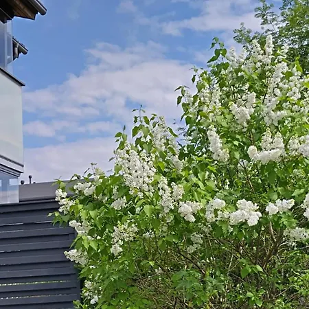 2 Quit&com For 4 W/ Free Parking In A House Homestay Oulu